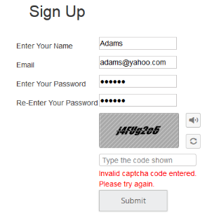 Captcha with failed AutoValidation in ASP.NET MVC