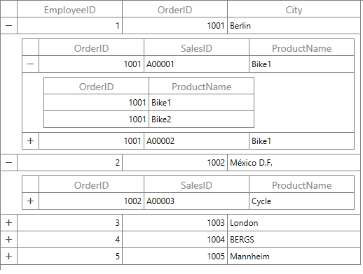 WPF DataGrid displays Nested Relations