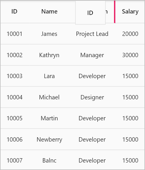Flutter Data Grid shows a checkbox filter in web platform