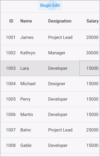 Flutter Data Grid begin edit