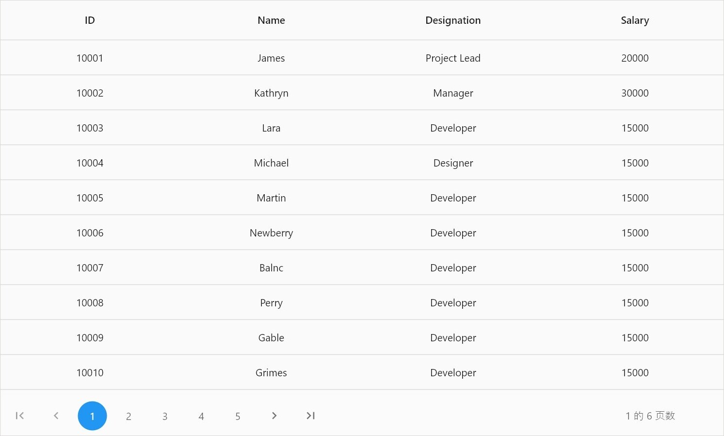 Flutter Data Grid localization