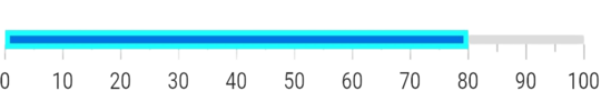 Customize Flutter Linear Gauge bar pointer border