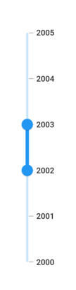 Year date format support