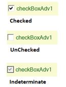 WindowsForms CheckBox various states