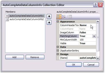 Windows Forms ComboBoxAutoComplete Image49