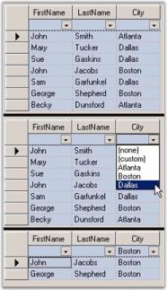 Filtering-Grid-Data-Bound-Grid_img2
