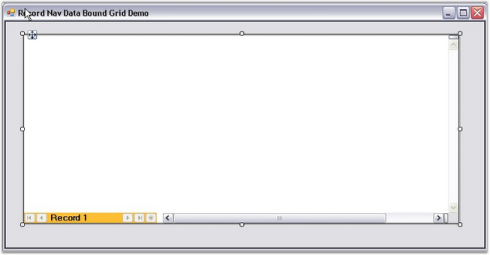 Windows Forms Record-Navigation-Bar Image4