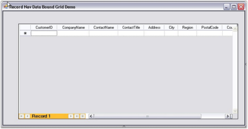 Windows Forms Record-Navigation-Bar Image5