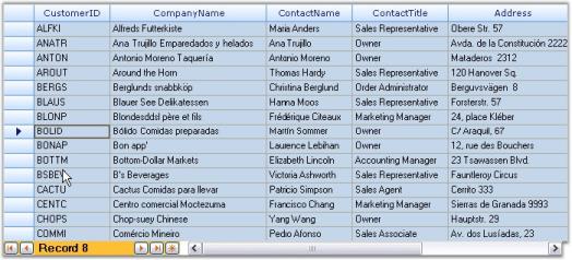 Windows Forms Record-Navigation-Bar Image7