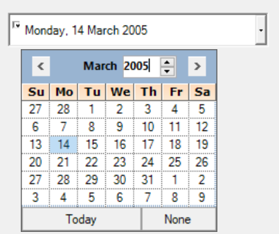 DateTimePickerAdv date editing option