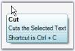 Customized appearance of SuperToolTip