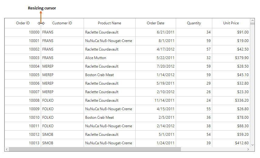 windows forms datagrid showing resize the column