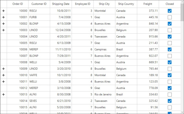 Windows forms datagrid displays hide the expander view