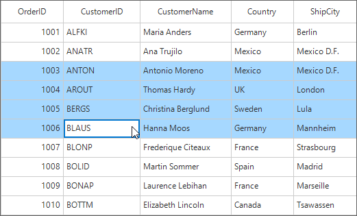 WindowsForms DataGrid showing selection
