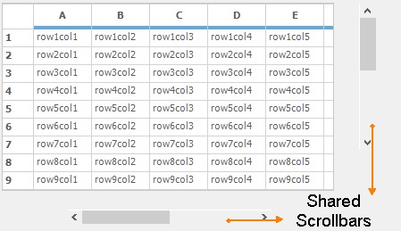 Windows forms grid displays shared scrollbar