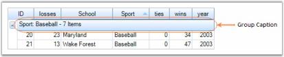 GroupCaptionSection in Data Presentation for Grid Grouping Control