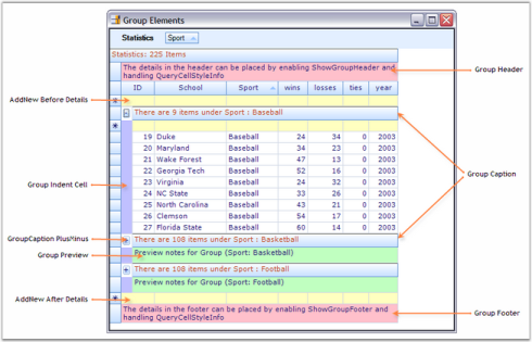 Custom Summary Tokens in Data Presentation for Grid Grouping control