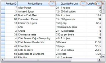 Programmatic Sorting in Data Representation for Grid Grouping Control