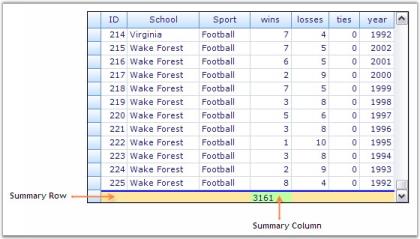 Summaries features through code in Data Representation for Grid Grouping Control