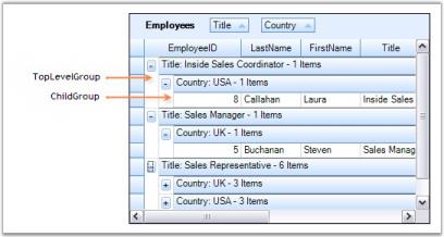 Multi Column Grouping in Data Representation for GridGrouping Control