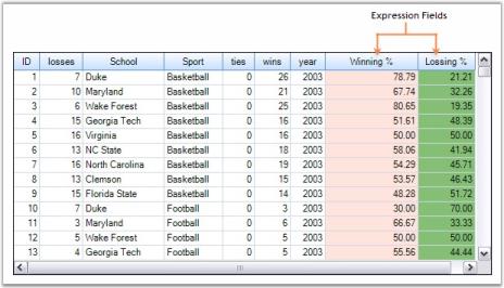 Programmatically Adding Expression Fields in Grid Grouping control