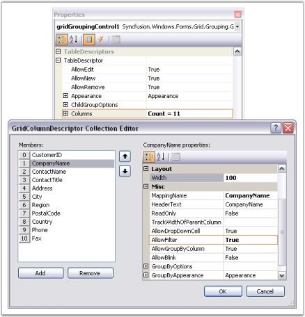 Set Filter to the CompanyName column through designer