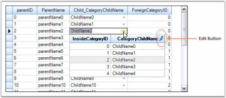 ForeignKey DropDown showing Edit Button