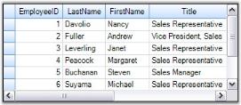 GroupDropArea Runtime Screens in Data Representation for GridGrouping Control