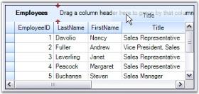 visibility control by ShowGroupDropArea property GridGrouping Control