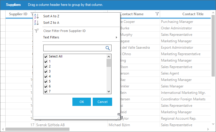 Enable resizing option for filter pop-up