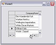 Grid-Record-Navigation-Control_images4