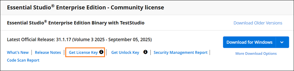 Generate the Windows Forms license key