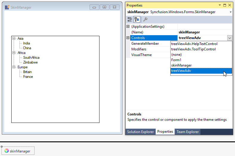 Root in WinForms Skin Manager