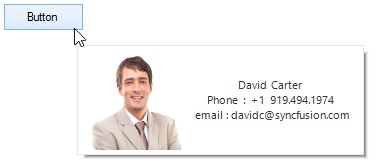 Shown images size of the tooltp items in winforms tooltip