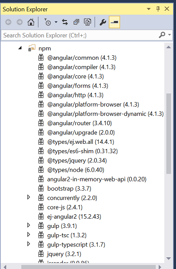 NPM configuration file in Angular