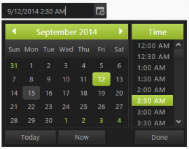 Theme in ASP.NET Core DateTimePicker.