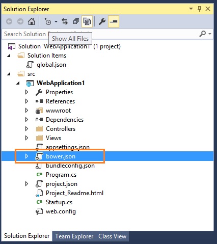 Solution Explorer Window in ASP.NET Core Application