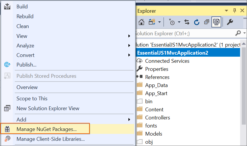NuGet package manager add-in for Windows