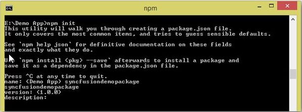 NPM initialization