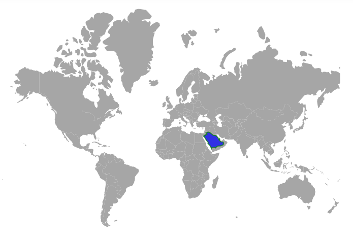 Maps with polygon shape