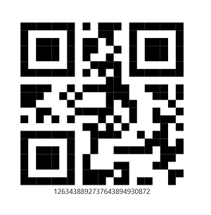 .NET MAUI Barcode Generator QR Code Input Mode As Numeric