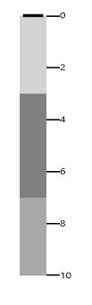 Vertical Orientation in UWP Bullet Graph