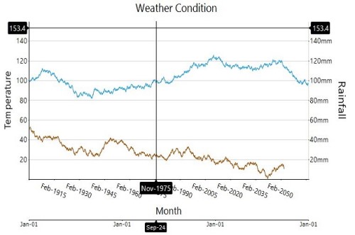 Chart Runtime