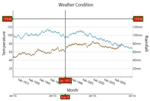 Chart Runtime