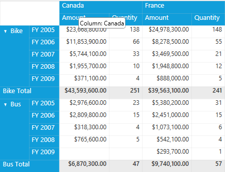 PivotGrid shows Tooltip for column header