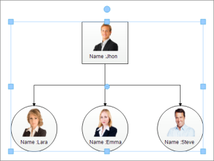 Windows Forms Diagram Touch support Properties
