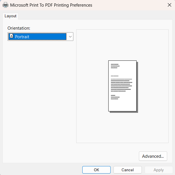 Printer Properties in WPF Diagram