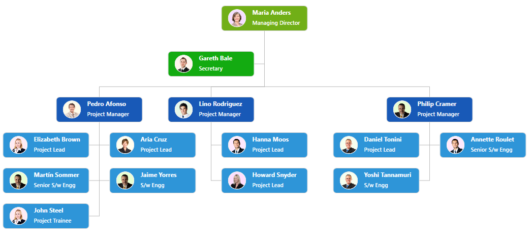 WPF Diagram displays Organization Layout with Assistant
