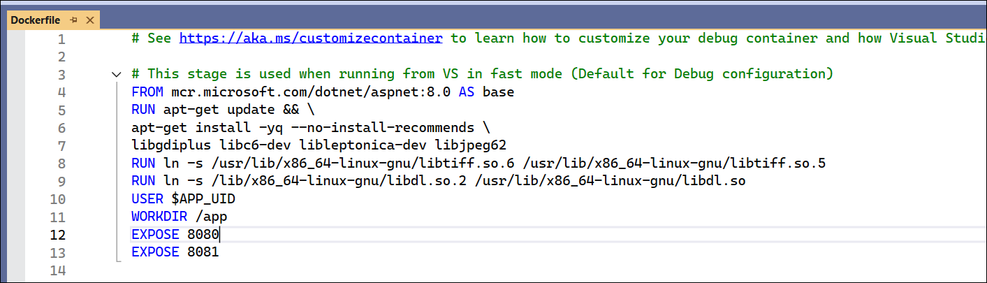 OCR commands in docker file