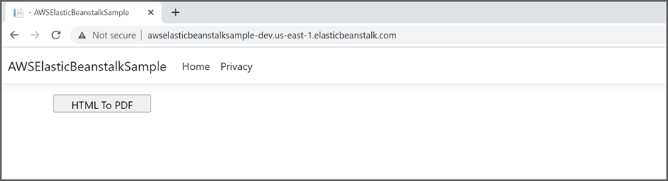 AWS Elastic Beanstalk Step15